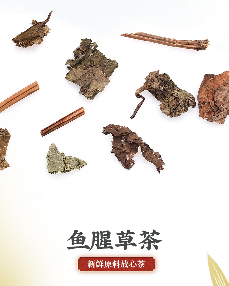 鱼腥草详情_04