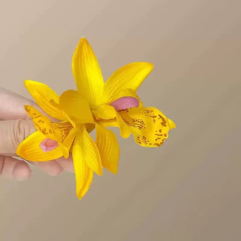 호접란 황색