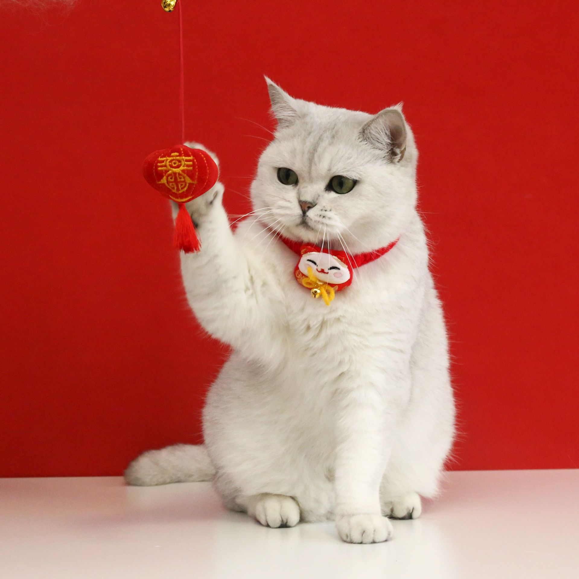 Mascota gato arroz caja de regalo de Año Nuevo divertido gato palo collar caja de regalo traje gato hierba molar pescado juguete divertido gato palo traje