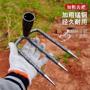 呴�@��䓰Ҷ��X�������X���X���s�������r�ü���ץ�h�r�ù���