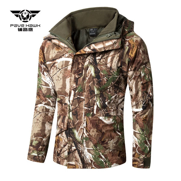 Big tree