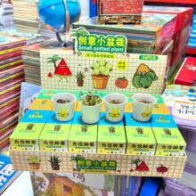 ��һ��ͯ��С�Y��⪄���׃��@С�W��DIYֲ��ä�����հ��ֶY��