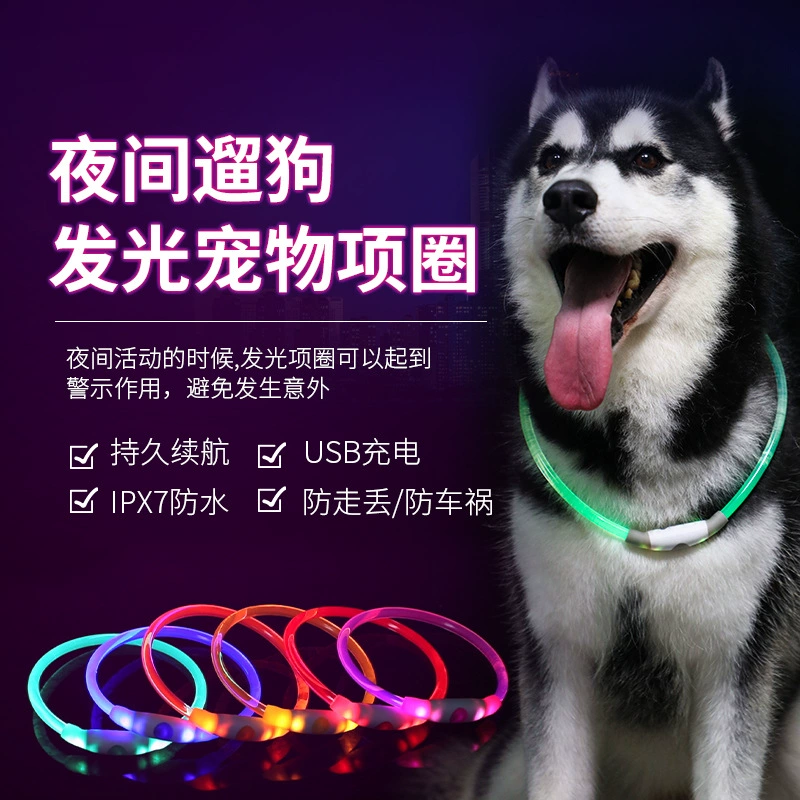 2023 Новый зарядный ошейник USB кошка собака домашнее животное светодиодный ошейник всего тела светящийся водонепроницаемый Амазонка взрывы красочные