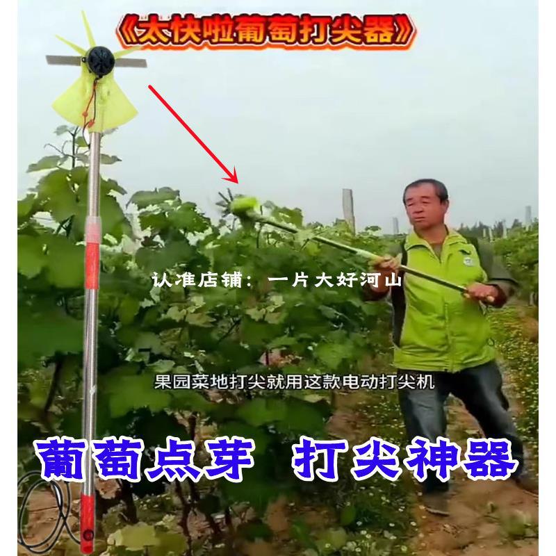 打芽点芽去机电动葡萄枣树掐芽果树打头枣树尖打尖金银花椒树