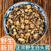 正品野生白头翁新货中药材500g正宗白头草奈何草白头翁野丈人干货
