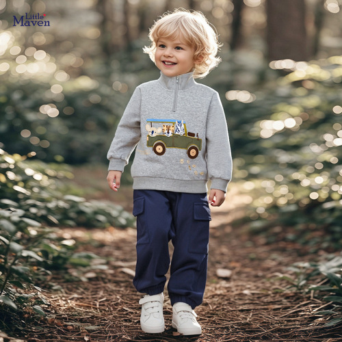Little Maven Source Factory Children's Autumn Sweatshirt for Boys, Western Cartoon Style Children's Top, Drop Shipping One Piece