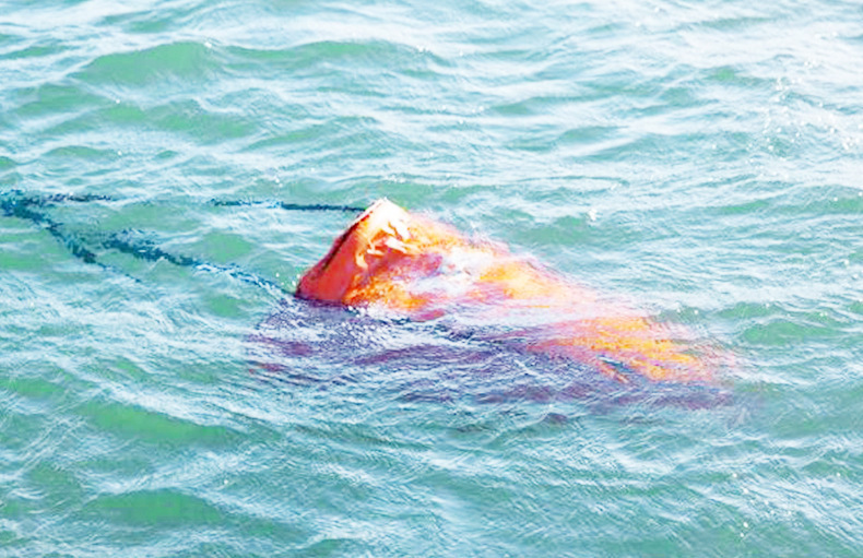 22235659903_717631232