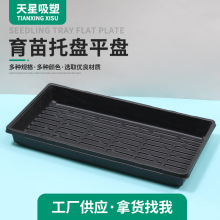 塑料花卉蔬菜植物育苗保湿保温培育闷养育苗托盘底盘平盘