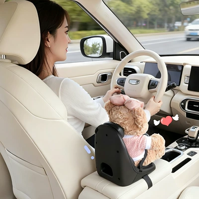 Box Ornaments, Accessories for – Car ornaments