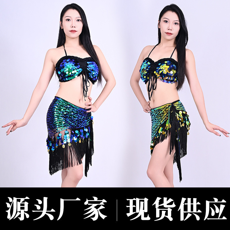Belly Dance Costume Sequin Tassel Indian Hip Scarf Set Oriental Dance Performance Outfit Nightclub Stage