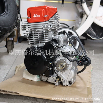 Engine assembly Zongshen Cb250R Engine