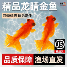 �t�������~���\���^�~����ˮ�~���絭ˮ���B�~��ˮ�~�����~�^�p�~