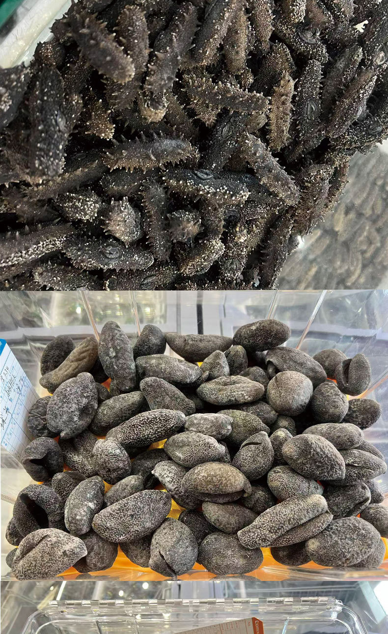 Ready to Eat Sea Cucumber Liaoning Dried Frozen Independent Pack 500g preparation