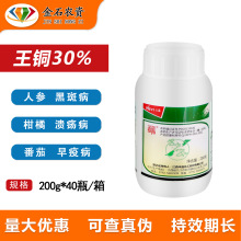 ����̩��30%���~ �˅��ڰ߲����٘䝢���������߲��rș������