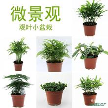 ΢���^�^�~С�~�_�h�Ʉ���С��������Ҭ����βާ��ˮ�����������