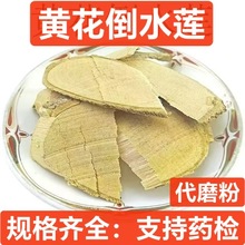 �S����ˮɏ ��ș�����l �^���� �����S�� Ʒ�N�Rȫ  �н�ӆ��