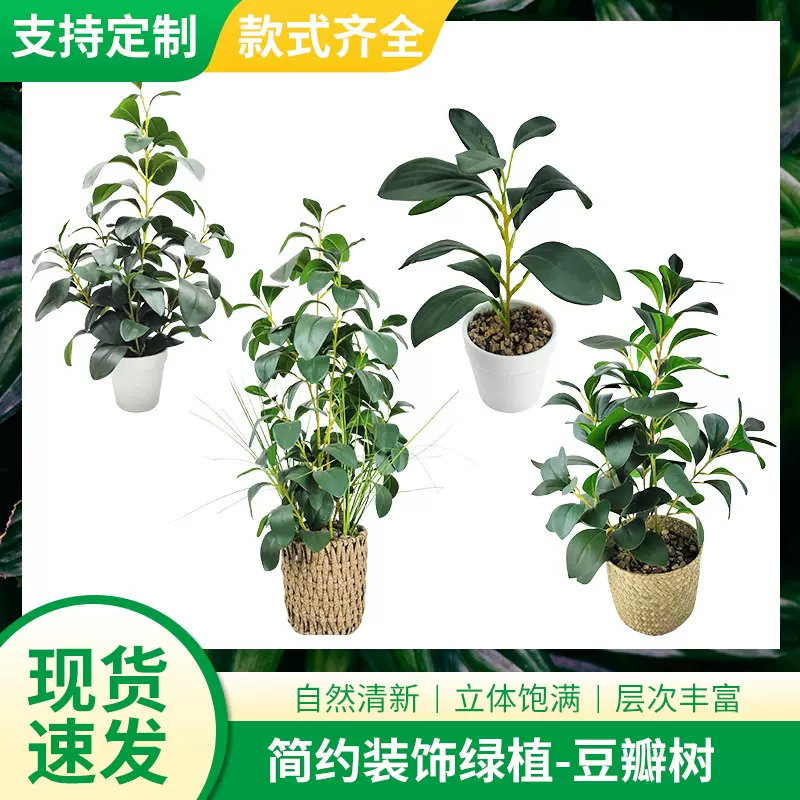 批发办公室客厅绿植仿真豆瓣树 仿真盆栽造景观假植物室内摆件