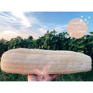 Loofah Bath Strip 20- 25cm for Bathing and Scrubbing the Back