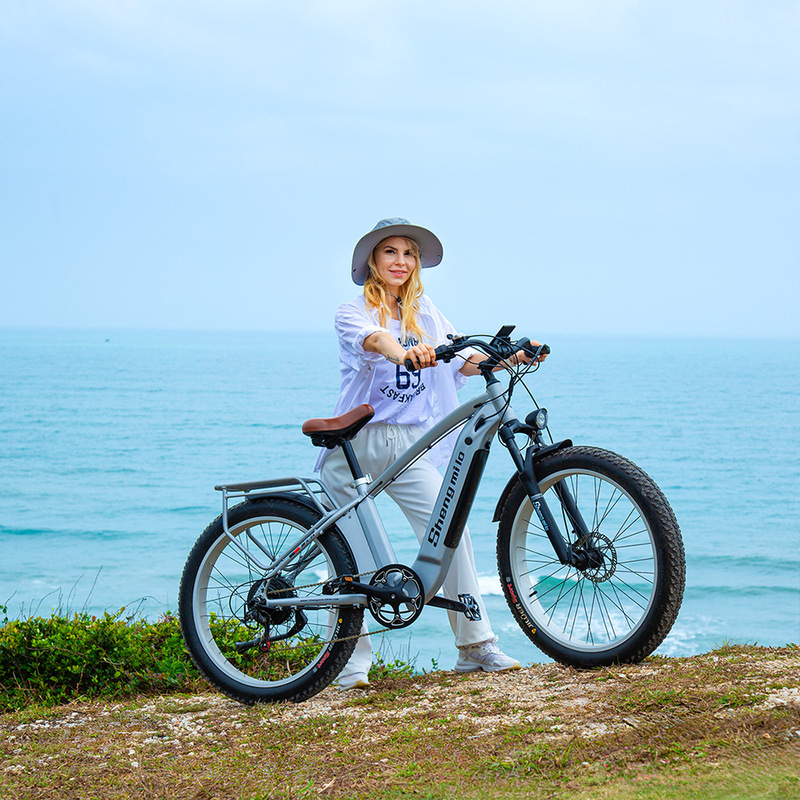 Mx04 Cross-Border 26-Inch 3.0 Lithium Battery-Assisted Front and Rear Dual-Drive Motor 2000W Oil Disc Brake Power-Off Mileage 90Km