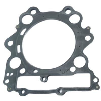 Motorcycle engine and accessories Hs700 Yamaha Grizzly/Rhino 660