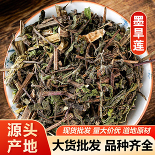 ī��ɏ ��ɏ����ș��ī��ɏ �a��؛Դ ���]��ĥ������ă�500�˷�