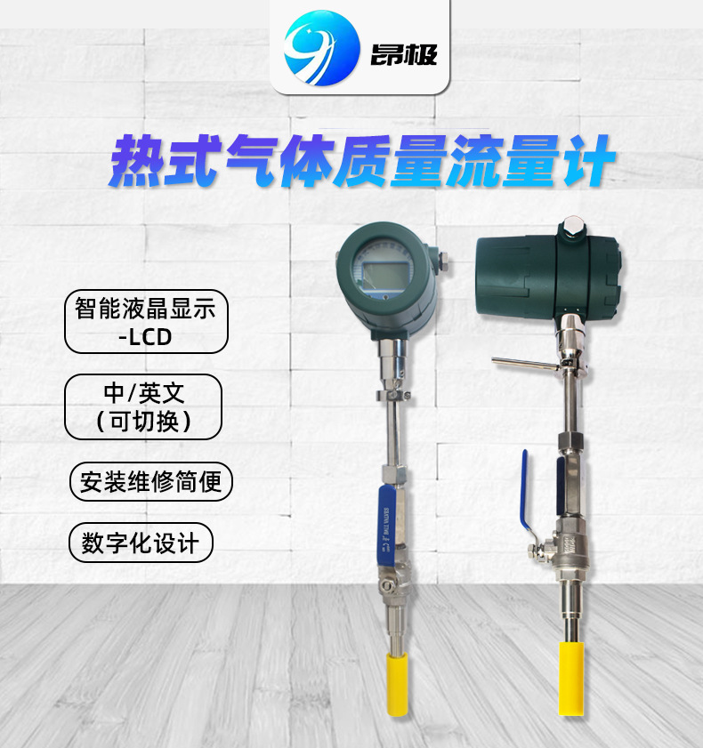 插入式热式气体质量流量计PT300或PT1000