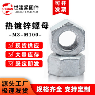 8.8���ߏ��ȟ���\��ĸ������ǟ���\��ñ����������