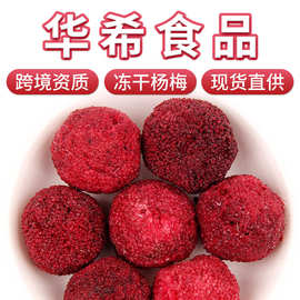 FD冻干杨梅厂家散装现货批发果干茶叶水果茶支持一件代发密文发货