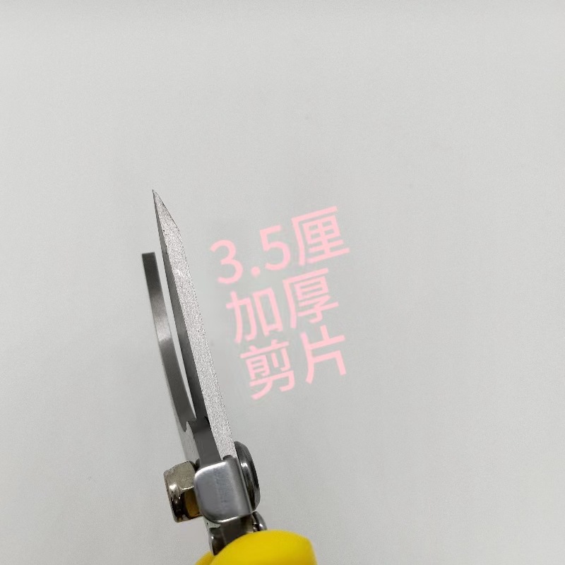 微信图片_20240308184050