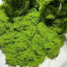 ����̦�\��Ƥ�����������̦΢���^���Ô[����ƺ�辰��������쾰