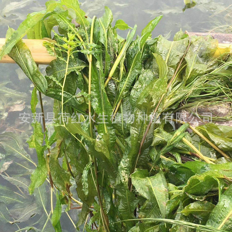 mmexport1568124574820