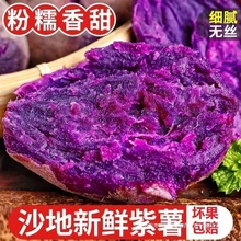 新鲜紫薯紫罗兰蜜薯紫番薯沙地蜜薯红薯地瓜蔬菜地瓜一整箱