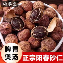 ����ꖴ�ɰ��Ƥ��M��ɰ��ꖴ��خaꖴ���ɳ���Ҝ���������ș��