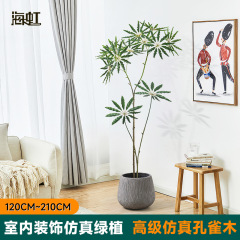 哇噢包邮仿真孔雀木盆栽落地装饰客厅假树室内软装假绿植高级感