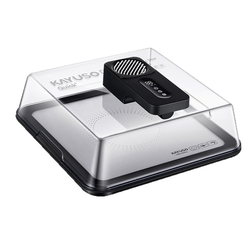 KAYUSO Defrosting Box descongelador de refrigeración de alta velocidad