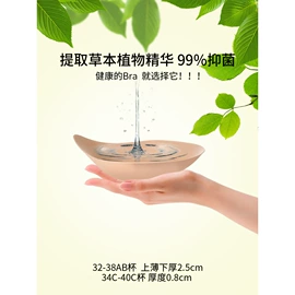 调整型文胸;无钢圈文胸;无痕文胸