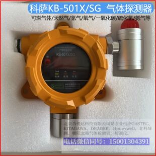 ���_KB-501X/SG ���w̽�y�� ��ȼ��/��Ȼ��/���/����/CO/�򻯚�