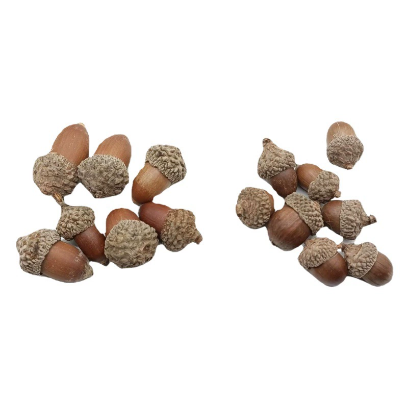 Мори натуральный желудь украшение ручной работы сушеный цветок кулон сосновые сухофрукты Рождественский набор детский сад экологическое украшение