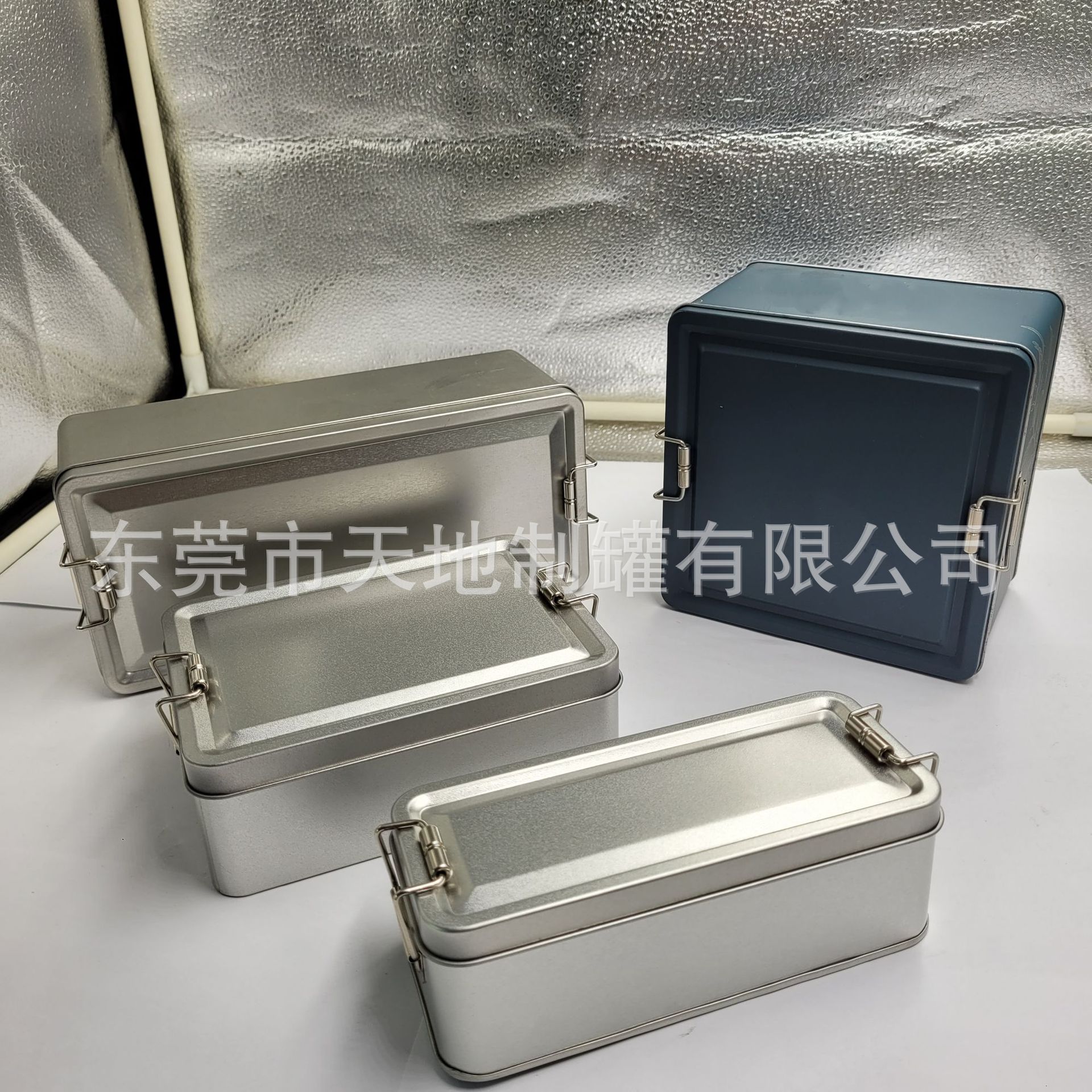 东莞市天地制罐有限公司