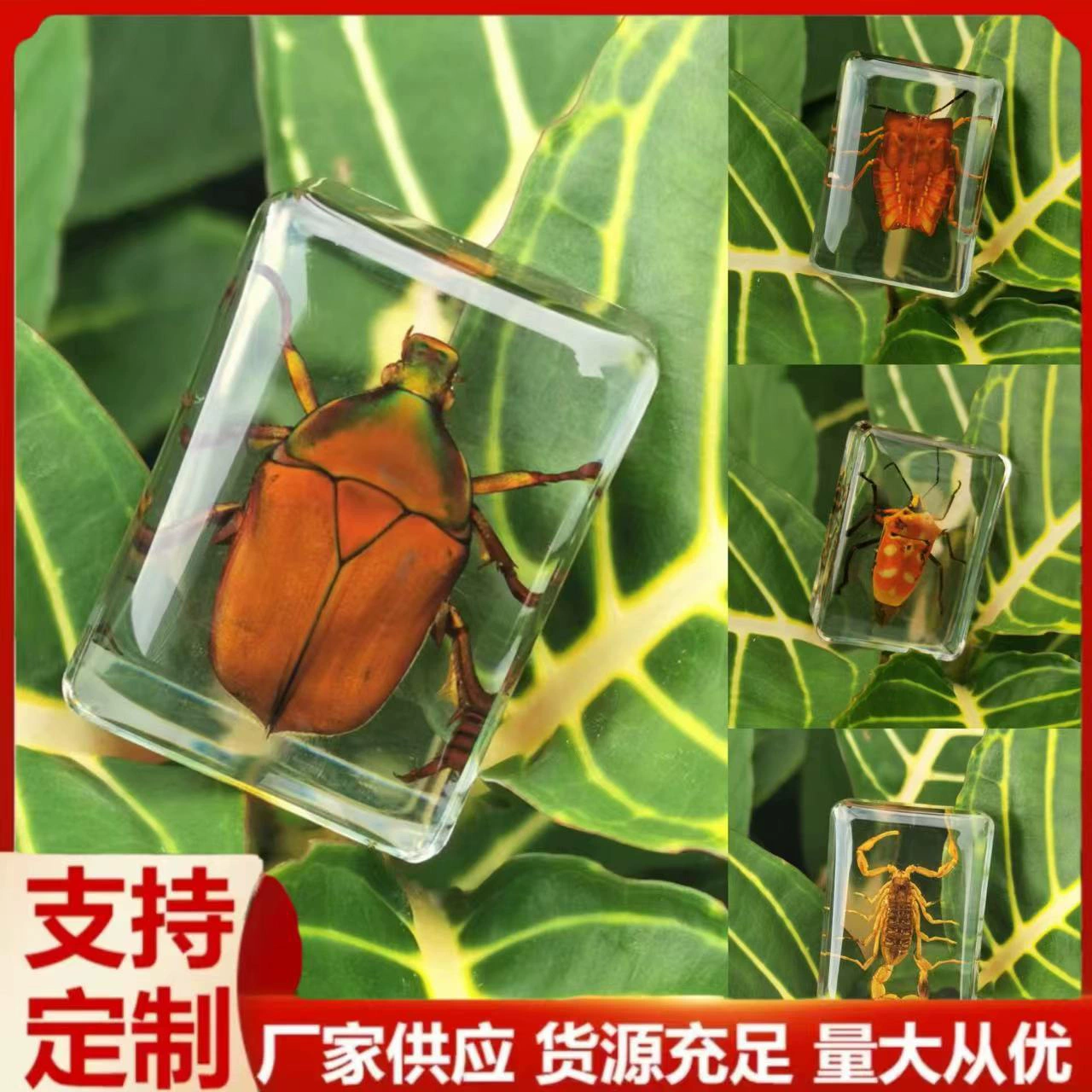 Weng Kai настоящие образцы насекомых, настоящие насекомые, животные, скорпионы, пауки, скарабей, янтарь, детские рождественские подарки, игрушки