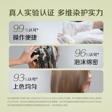 一般雾泡棕色件染染品霾贸易泡沫染发剂在家自己装植物泡泡