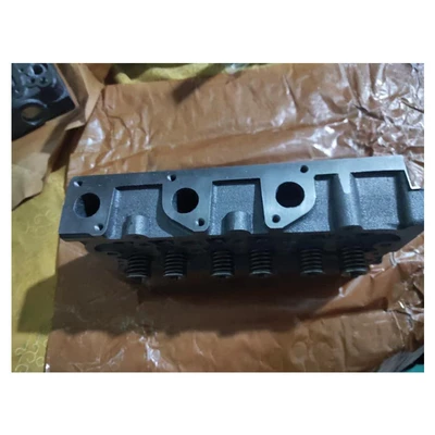 Cylinder and parts cylinder head assembly D902