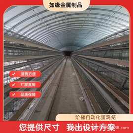 阶梯自动化鸡笼冷镀锌热镀锌全自动样鸡笼绿槽白槽三层四层蛋鸡笼