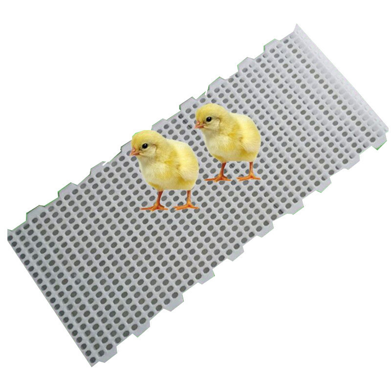 养鸡塑料漏粪板鸭用网床漏粪板纯原料漏粪板万兴畜牧供应