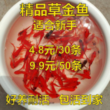 С���~�ˮ�^�p�~����wС�~����ˮ�~��С�\�����P�������Lˮ�~