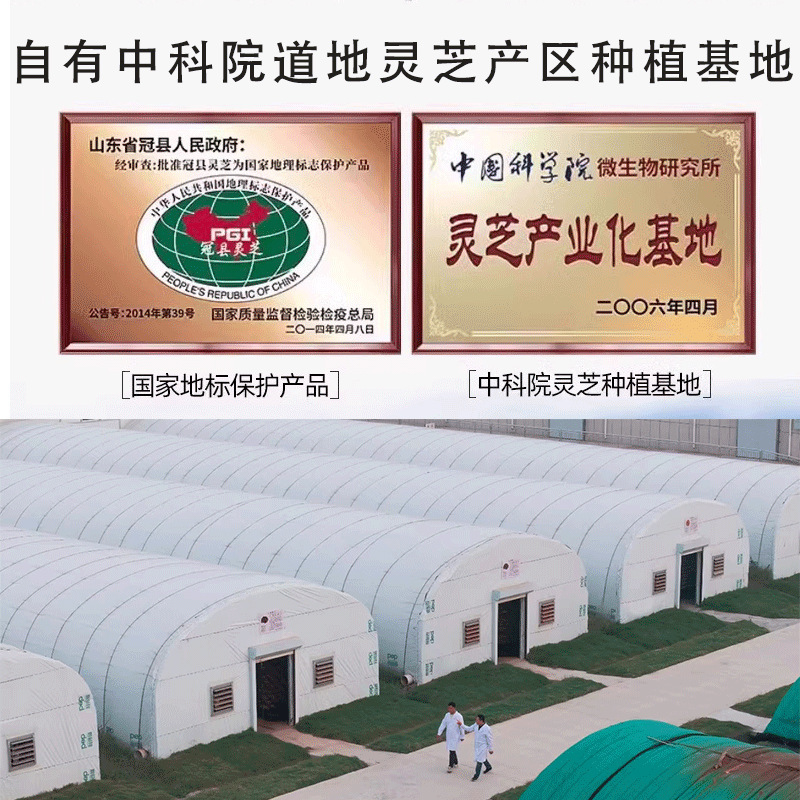 简芝堂破壁灵芝孢子粉灵芝粉药业直营批发加工量大优惠|undefined