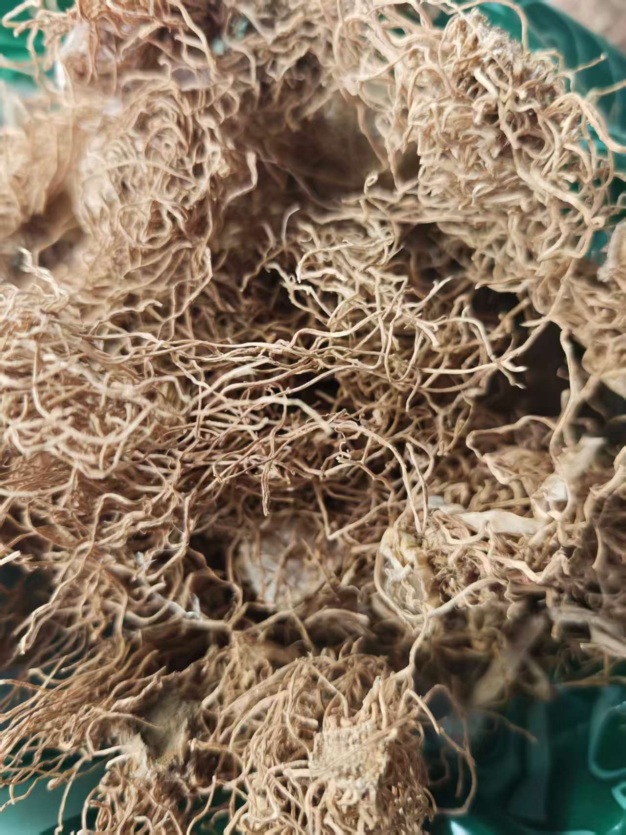 Scallion Root & Scallion White (Allium fistulosum) — Dried Culinary Herb for Cooking & Soup key features