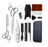 Blade * silver, set, scraper