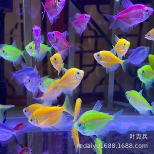 �Ϻ��Ꭷ�~�B��ɫ��ʹ��ɫ�~����ɫ���B��Ⱥ�~��N�ɫ�S�C�l