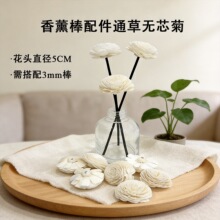 通草无芯菊香薰配件通草花开孔无心菊扩香棒仿真花香薰棒装饰批发